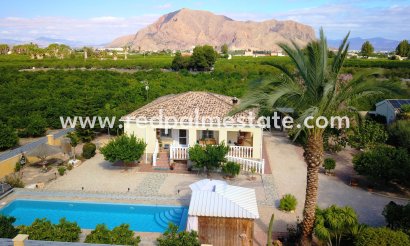Finca / Hus på landet - Återförsäljning - Orihuela - Orihuela