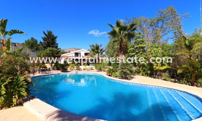 Finca / Landeiendom - Videresalg - Aspe - Aspe