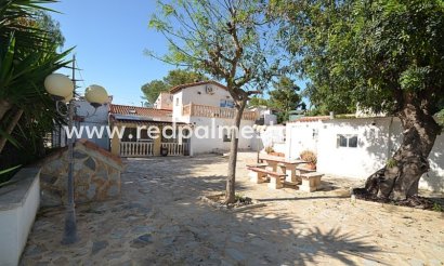 Finca / Landeiendom - Videresalg - Canadas de San Pedro - Canadas de San Pedro