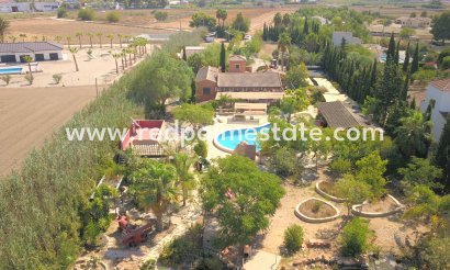 Finca / Landeiendom - Videresalg - Catral - Catral