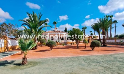 Finca / Landeiendom - Videresalg - Catral - Catral