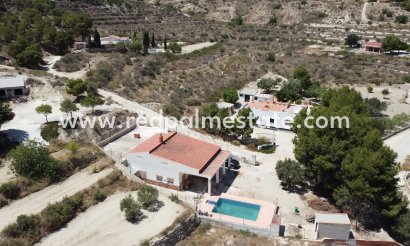 Finca / Landeiendom - Videresalg - Crevillente - Inland