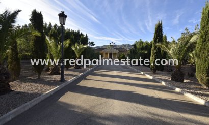 Finca / Landeiendom - Videresalg -
            La Matanza - MR2-11484