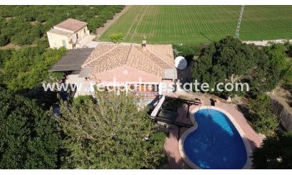Finca / Landeiendom - Videresalg - Orihuela - Orihuela