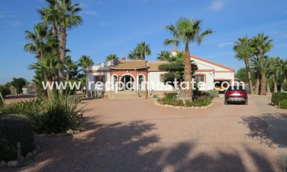 Finca / Landgoed - Herverkoop -
            Daya Vieja - MR2-39203