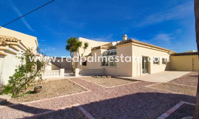 Finca / Propiedad de Campo - Reventa - Aspe - Aspe