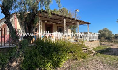 Finca / Propiedad de Campo - Reventa - Aspe - Inland