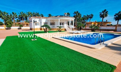 Finca / Propiedad de Campo - Reventa - Catral - Catral