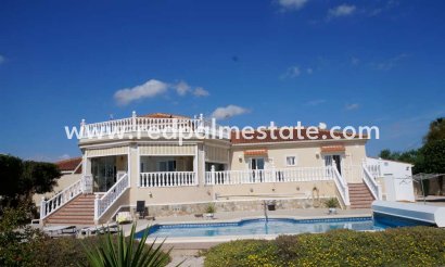 Finca / Propiedad de Campo - Reventa - Catral - Catral