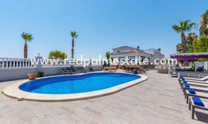 Finca / Propiedad de Campo - Reventa - Catral - Catral