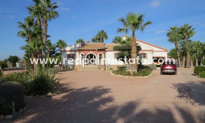 Finca / Propiedad de Campo - Reventa - Daya Vieja - Daya Vieja