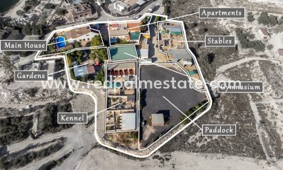 Finca / Propiedad de Campo - Reventa - Fortuna - Fortuna