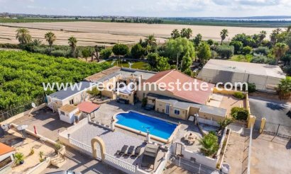 Finca / Propiedad de Campo - Reventa - Montesinos - Los Montesinos
