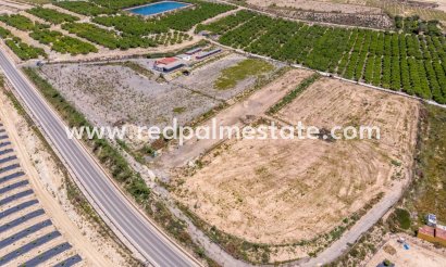 Finca / Propiedad de Campo - Reventa - Montesinos - Los Montesinos