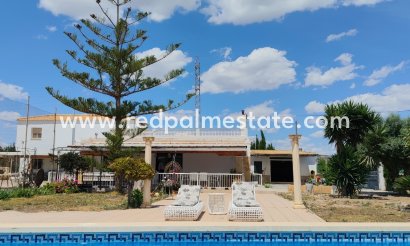 Finca / Propiedad de Campo - Reventa - Montesinos - Los Montesinos