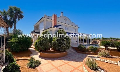 Finca / Propiedad de Campo - Reventa - San Fulgencio - San Fulgencio