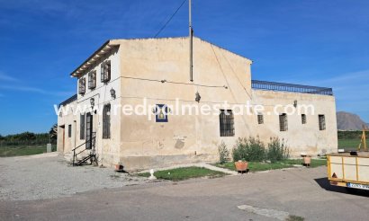 Finca / Propriété de campagne - Revente - Benejúzar - Benejúzar