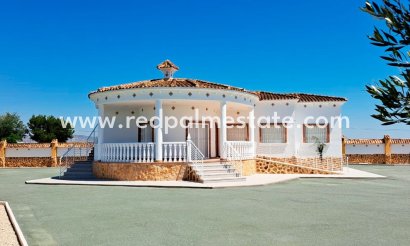 Finca / Propriété de campagne - Revente - Catral - Catral