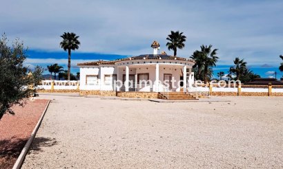 Finca / Propriété de campagne - Revente - Catral - Catral