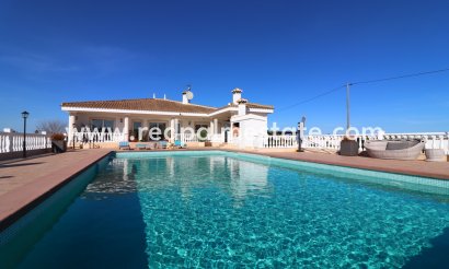 Finca / Propriété de campagne - Revente - Ciudad Quesada/Rojales - Rojales