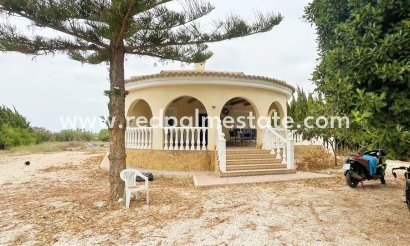 Finca / Propriété de campagne - Revente - Daya Vieja - Costa Blanca