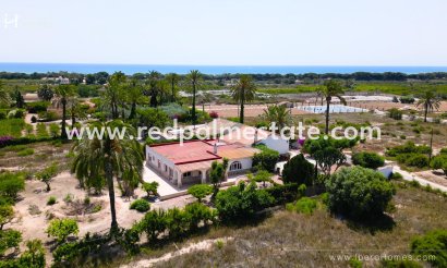 Finca / Propriété de campagne - Revente - La Marina - La Marina
