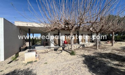 Finca / Propriété de campagne - Revente - Montesinos - Los Montesinos