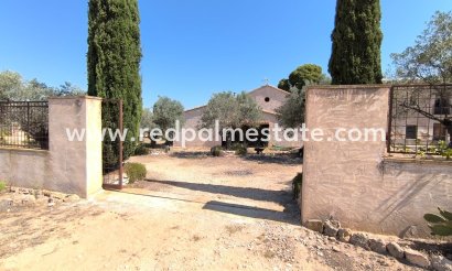Finca / Propriété de campagne - Revente - Villena - Inland