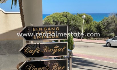 Företag - Återförsäljning - Guardamar del Segura -
                Costa Blanca