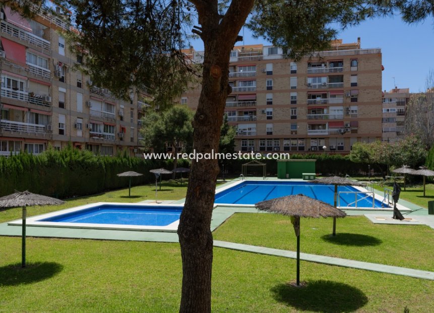 Herverkoop - Appartement -
Alicante - Alipark