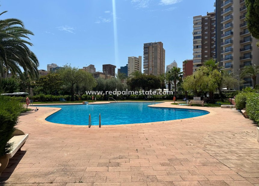 Herverkoop - Appartement -
Benidorm - Costa Blanca