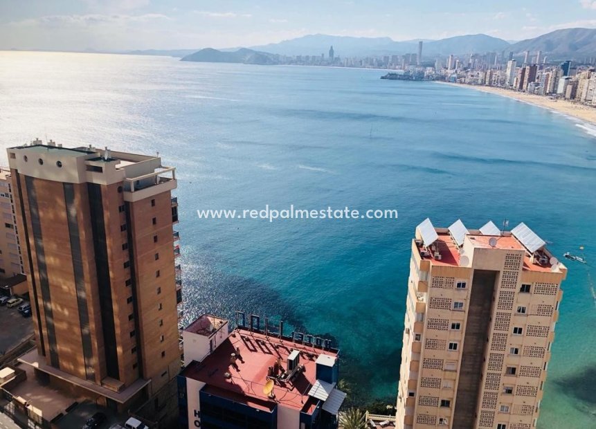 Herverkoop - Appartement -
Benidorm - Costa Blanca