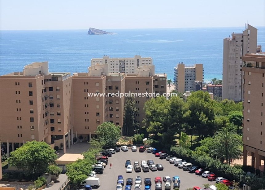 Herverkoop - Appartement -
Benidorm - Costa Blanca