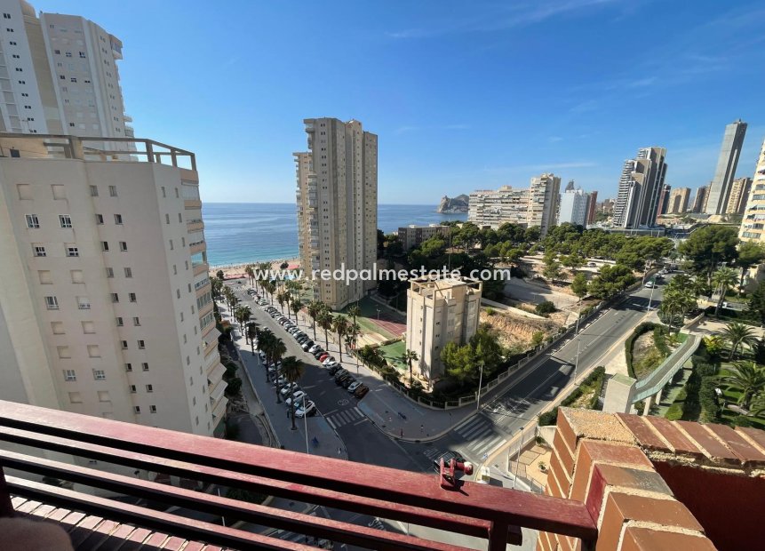 Herverkoop - Appartement -
Benidorm - Costa Blanca