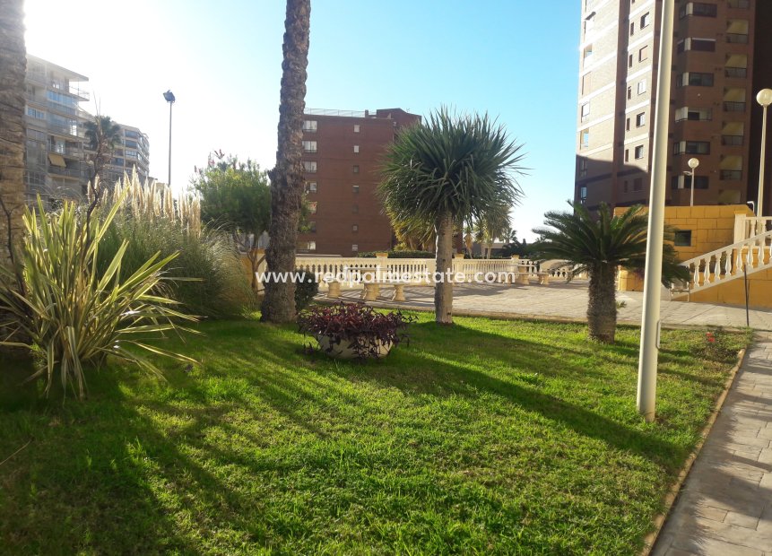 Herverkoop - Appartement -
Benidorm - Costa Blanca