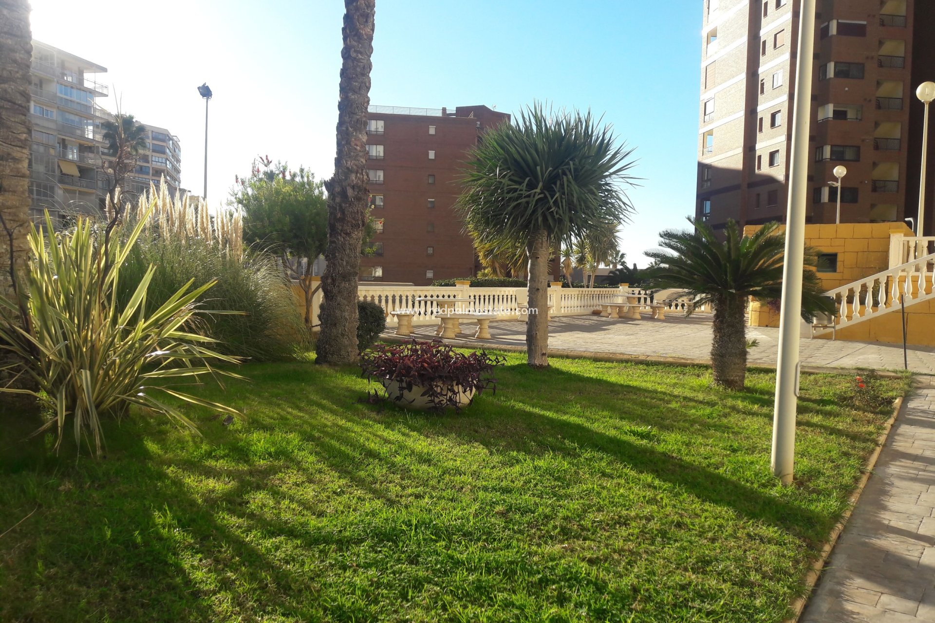 Herverkoop - Appartement -
Benidorm - Costa Blanca