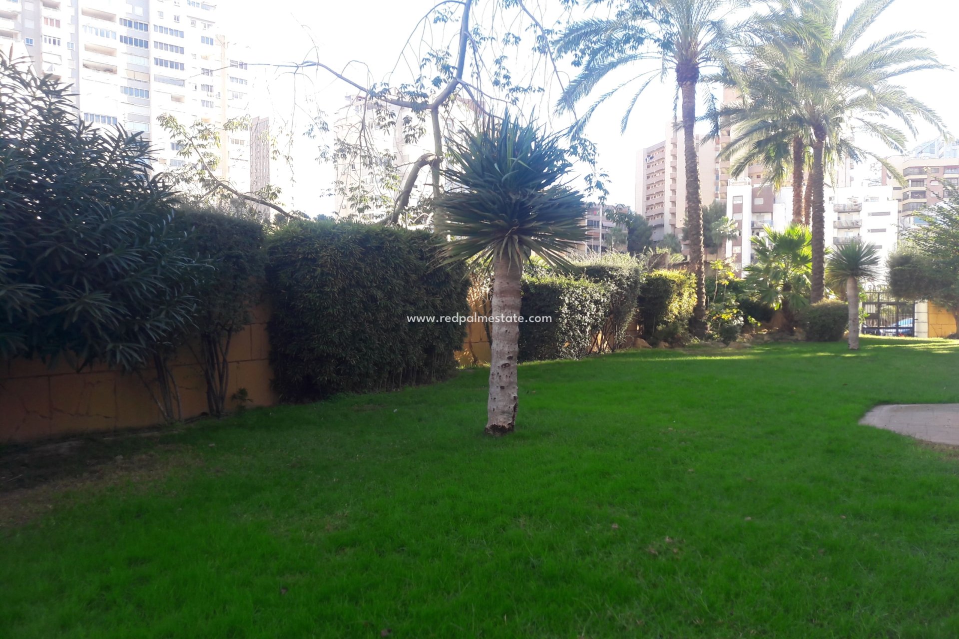 Herverkoop - Appartement -
Benidorm - Costa Blanca