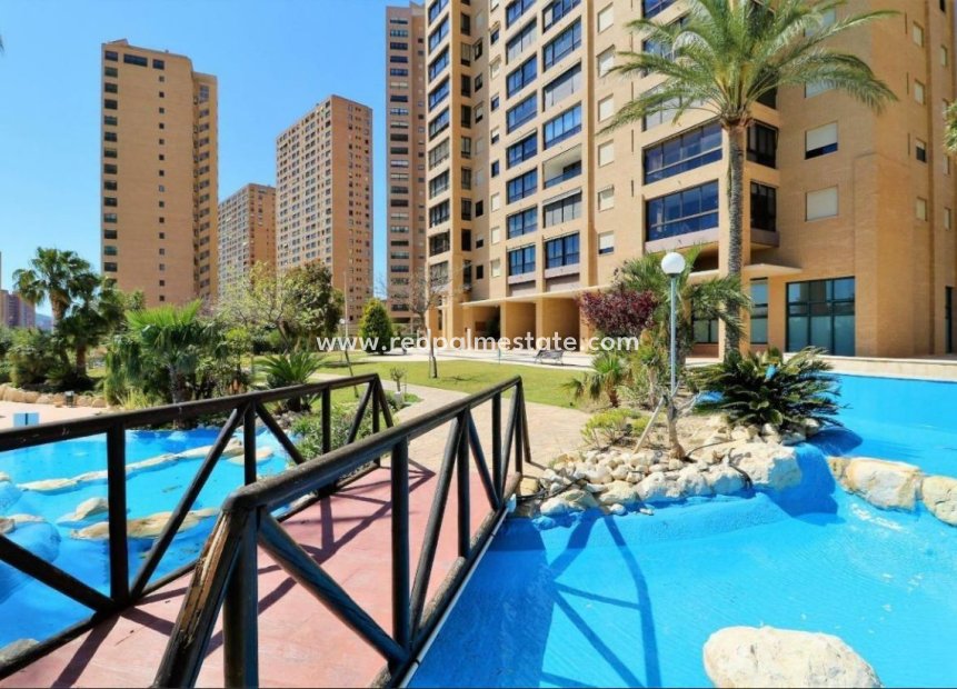 Herverkoop - Appartement -
Benidorm - Costa Blanca