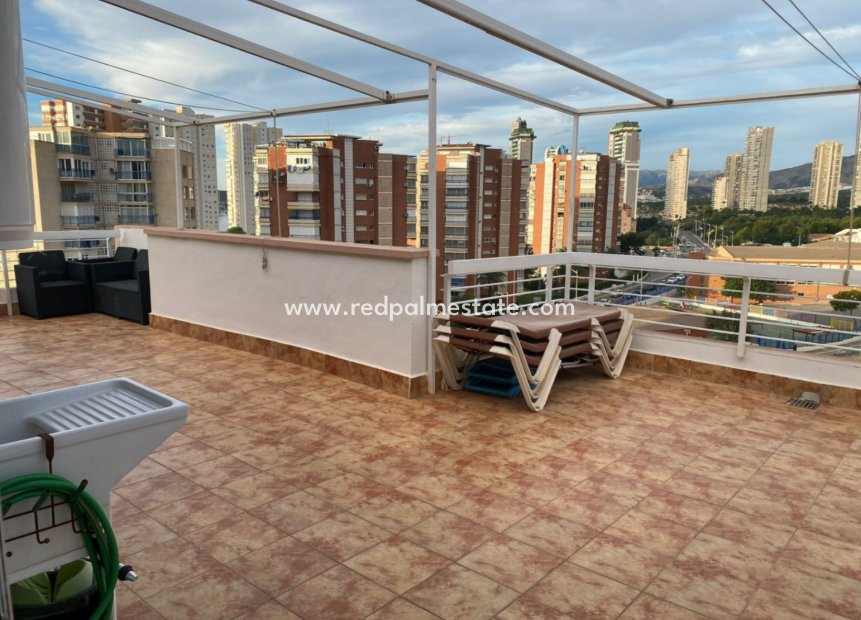 Herverkoop - Appartement -
Benidorm - Costa Blanca