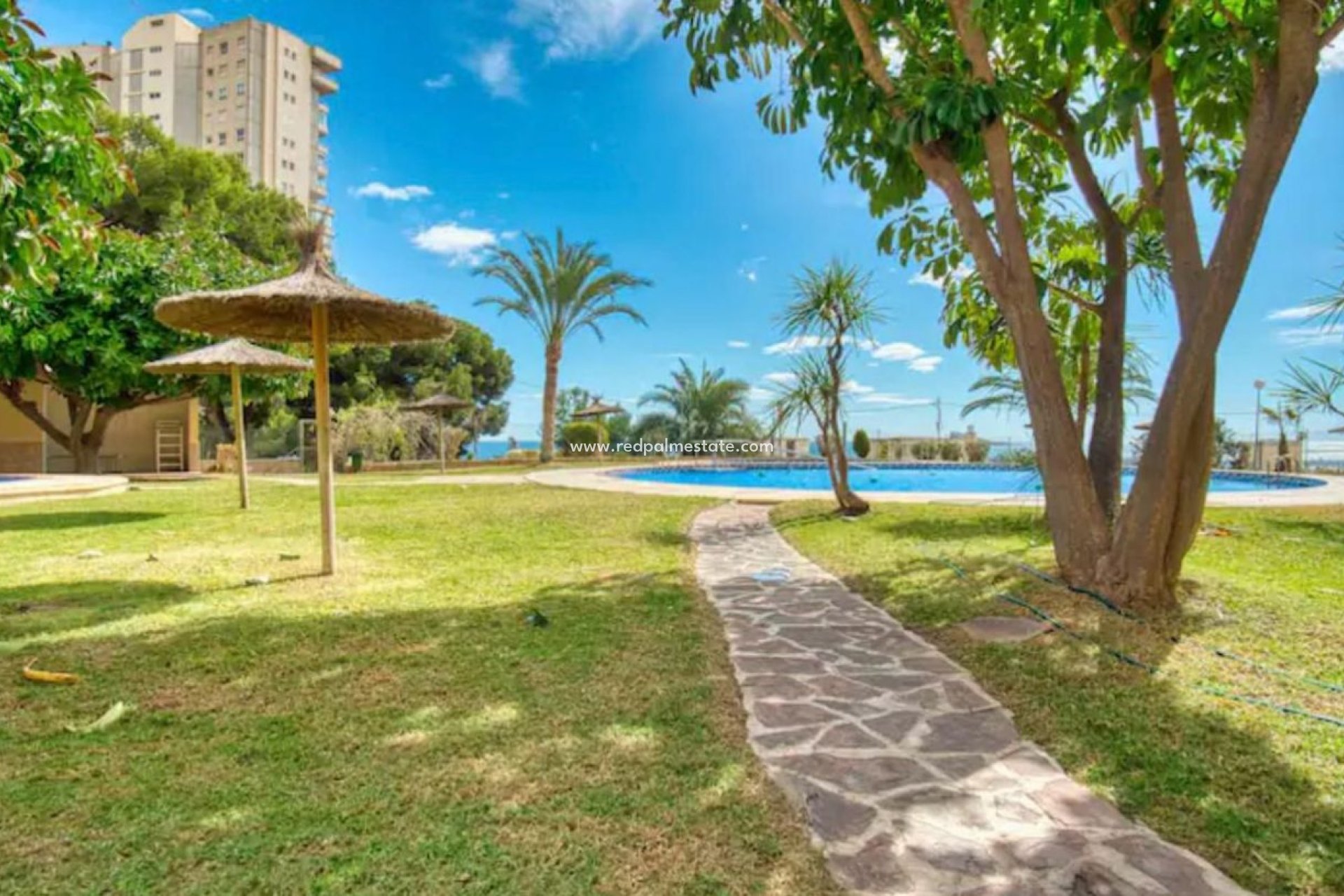 Herverkoop - Appartement -
Benidorm - Costa Blanca