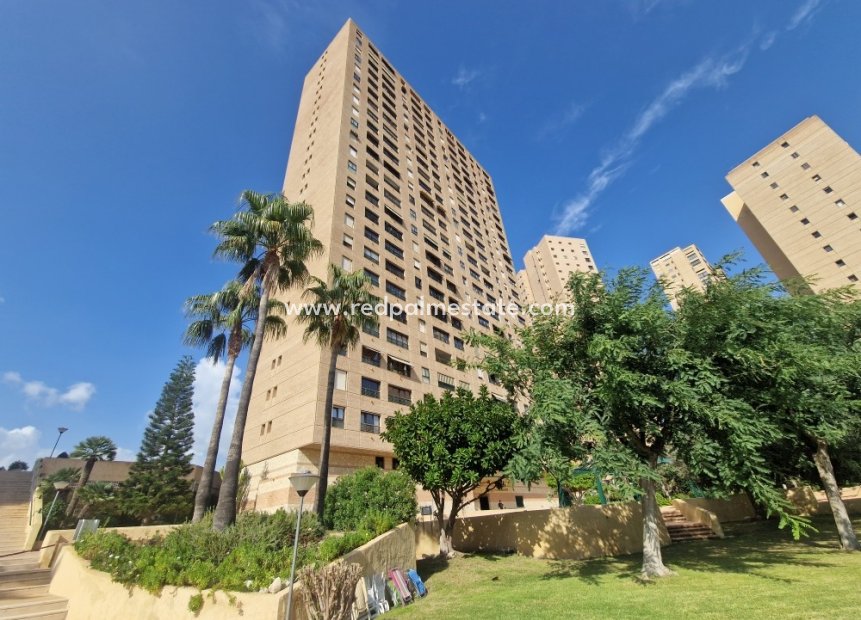 Herverkoop - Appartement -
Benidorm - Costa Blanca