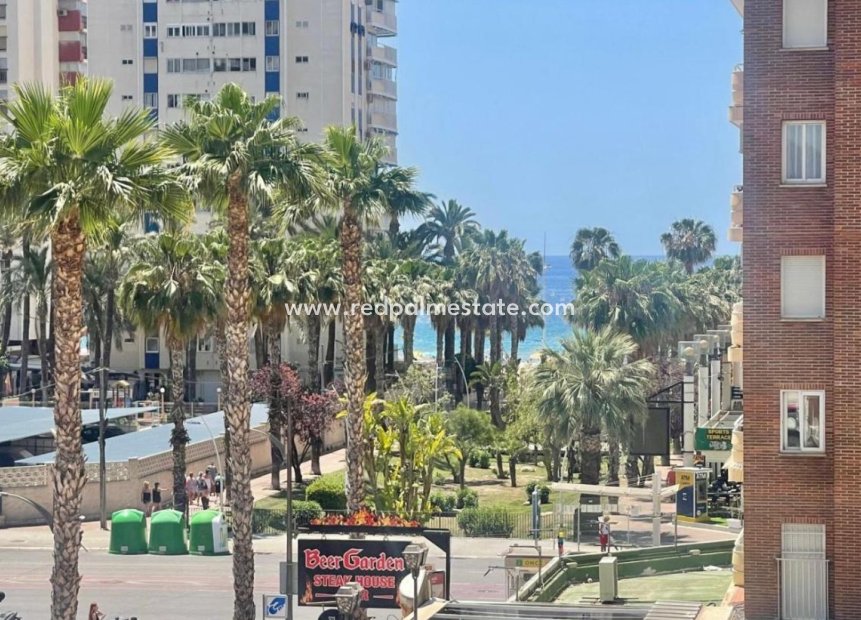 Herverkoop - Appartement -
Benidorm - Costa Blanca