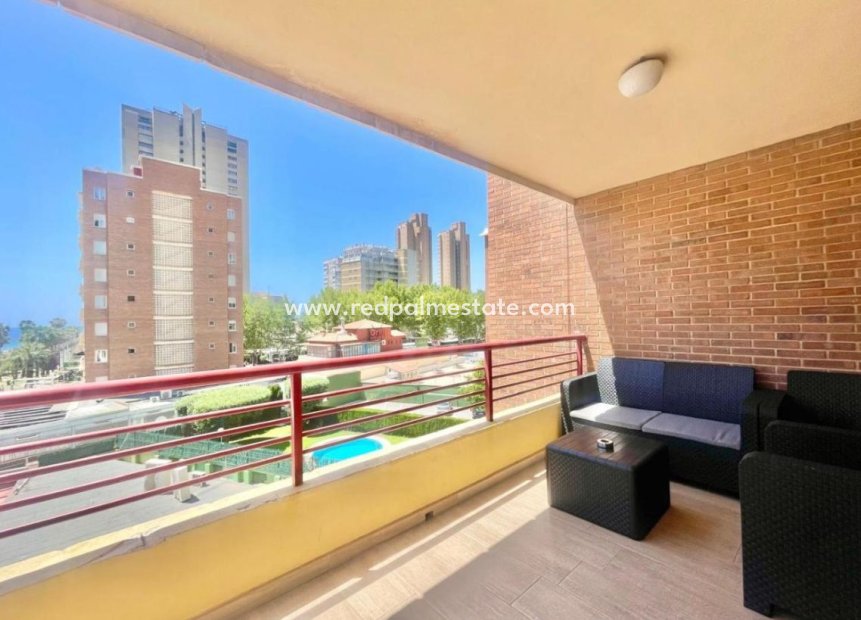 Herverkoop - Appartement -
Benidorm - Costa Blanca