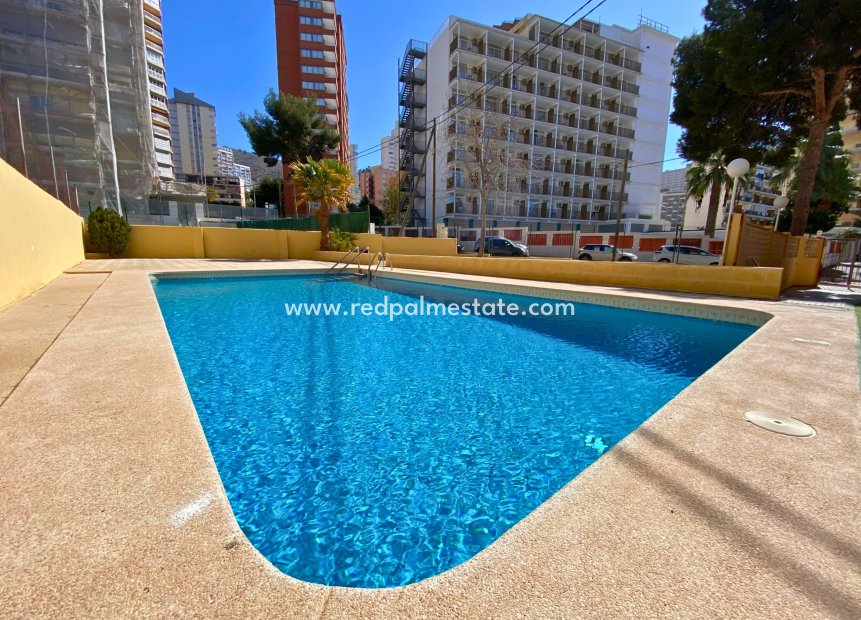 Herverkoop - Appartement -
Benidorm - Costa Blanca