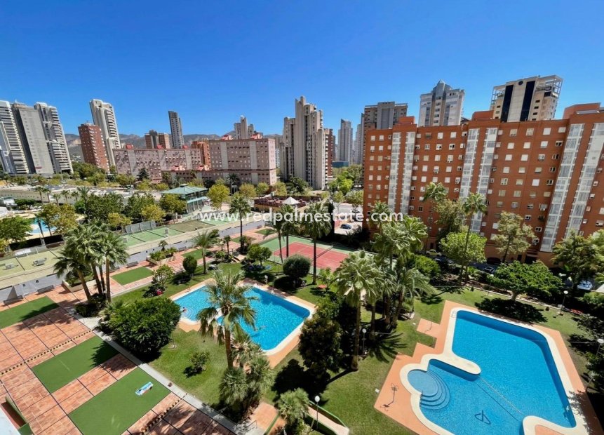 Herverkoop - Appartement -
Benidorm - Nuevos Juzgados