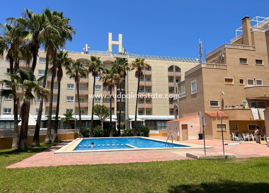 Herverkoop - Appartement / flat -
Punta Prima - Punta Prima Torrevieja