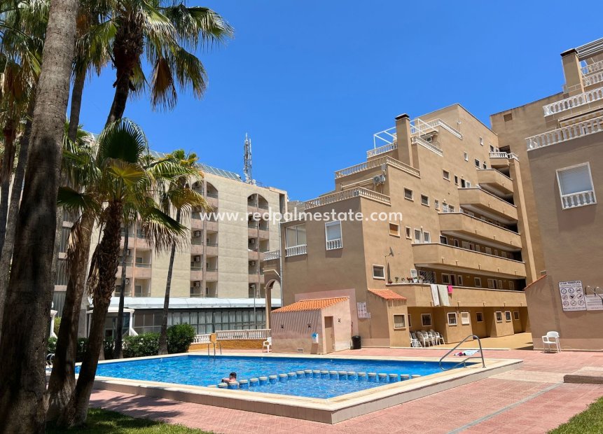 Herverkoop - Appartement / flat -
Punta Prima - Punta Prima Torrevieja