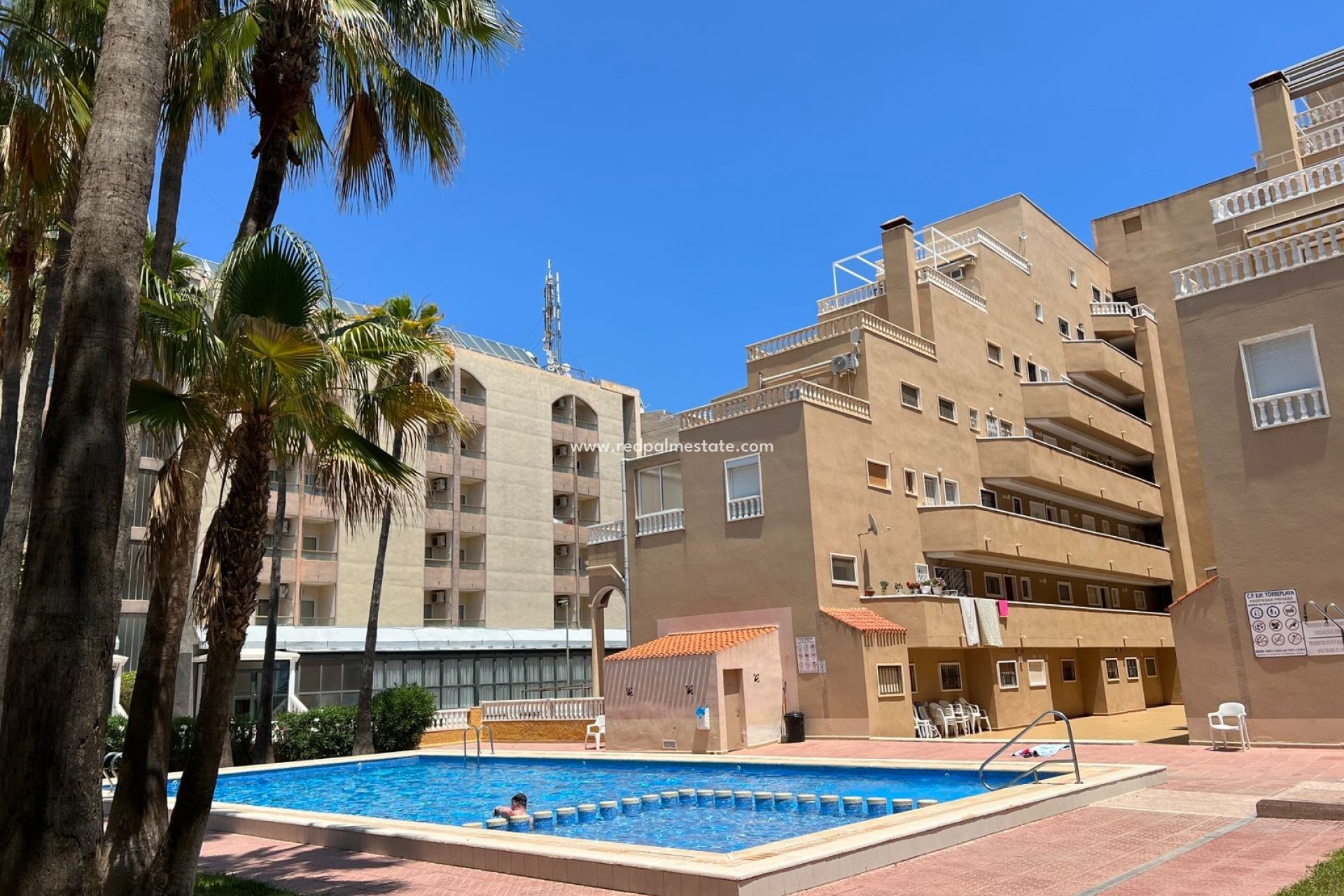 Herverkoop - Appartement / flat -
Punta Prima - Punta Prima Torrevieja