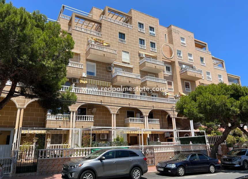 Herverkoop - Appartement / flat -
Punta Prima - Punta Prima Torrevieja