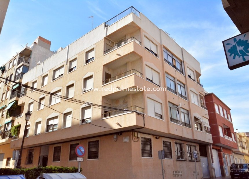 Herverkoop - Appartement -
Guardamar del Segura - Costa Blanca